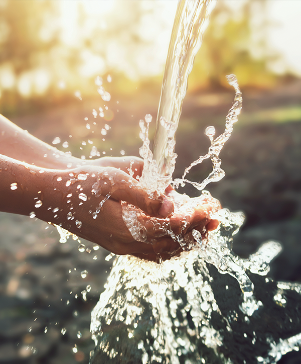 hirschquelle_natuerliches_heilwasser_mit_zugelassenen_anwendungsgebieten Hände fangen Wasser aus einer Quelle im Sonnenlicht auf.